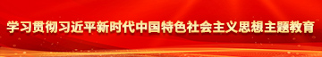 操逼看1区学习贯彻习近平新时代中国特色社会主义思想主题教育